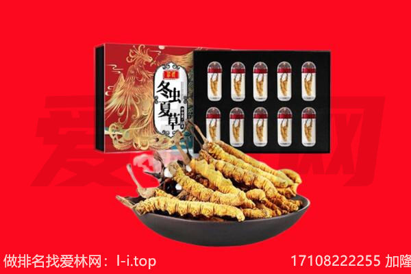 红河州开远市回收虫草.jpg